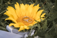 wedd